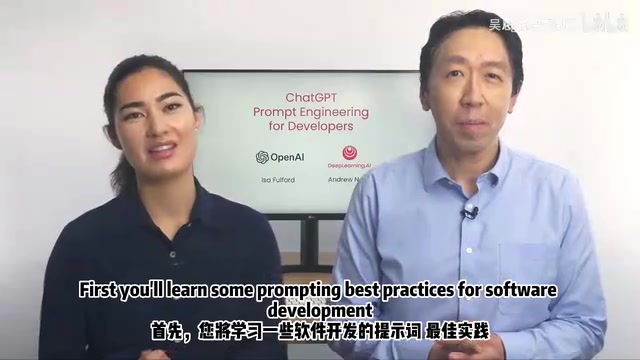 Andrew Ng's Prompt Engineering Course Essentials: Core Methodology Every Developer Must Learn