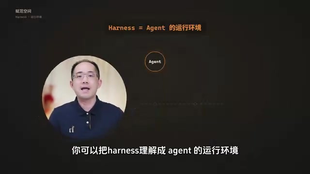 The Agent's runtime environment