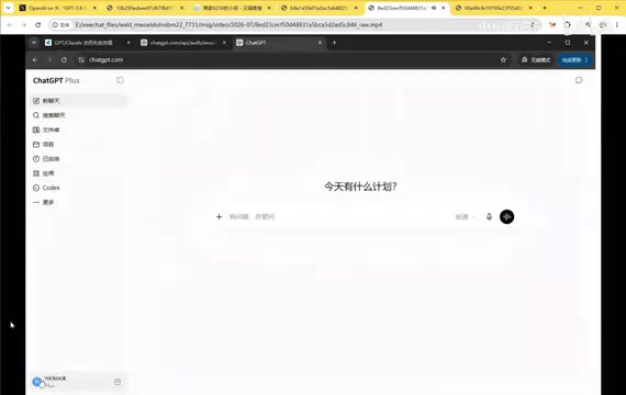 Plus的标识
