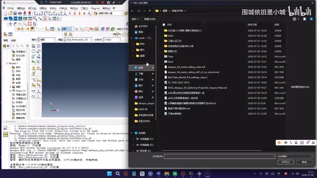 Importing the two downloaded Skill files