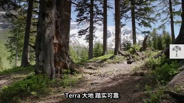 价格大概是Sol的一半