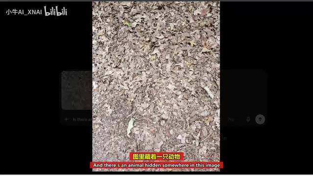 Hidden animal recognition test