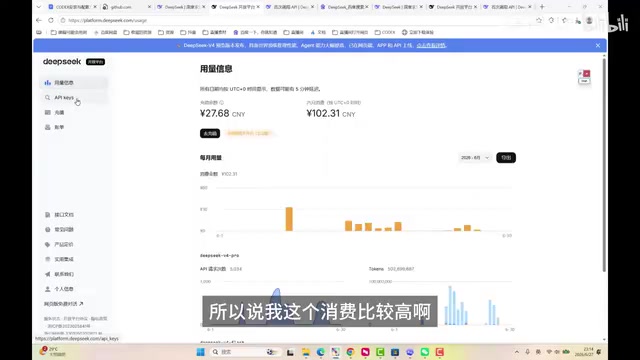 实际月消费参考