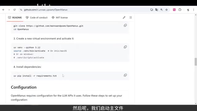 OpenManus main startup file