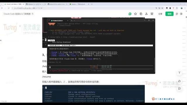 Conversational interaction interface