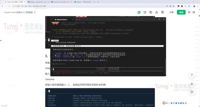 Claude Code Conversation Window