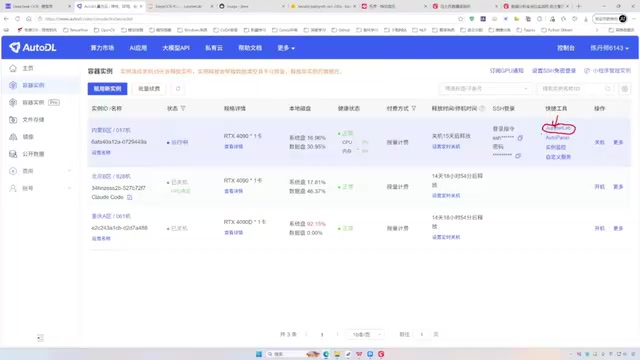 Entering Jupyter Lab Working Environment