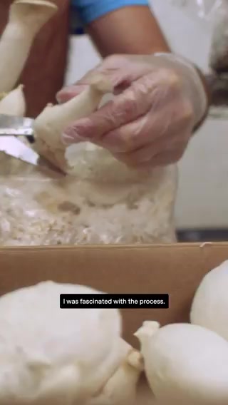 ChatGPT Powers Micro-Entrepreneurship: A Real-World Case from Mushroom Grow Kit to Automated Factory