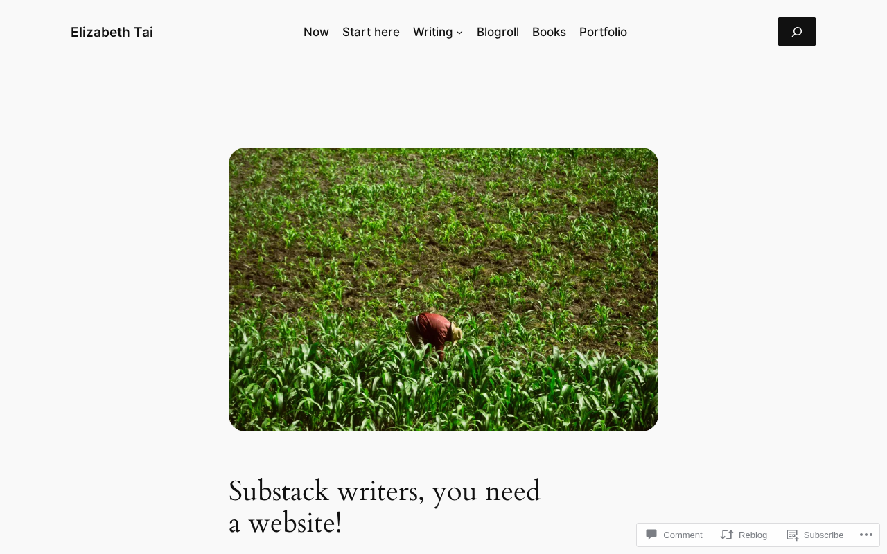Substack作者为什么需要独立网站?平台依赖风险与解决方案