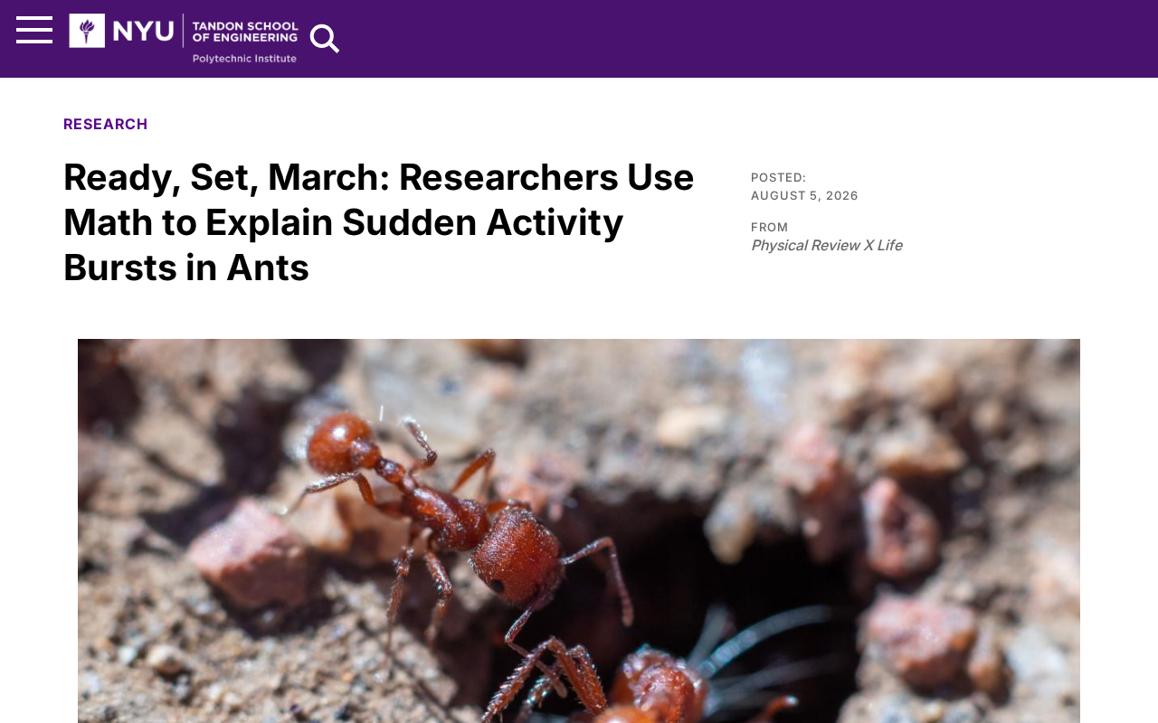 Why Do Ants Suddenly Move Together? Math Models Reveal the Secret of Self-Organization
