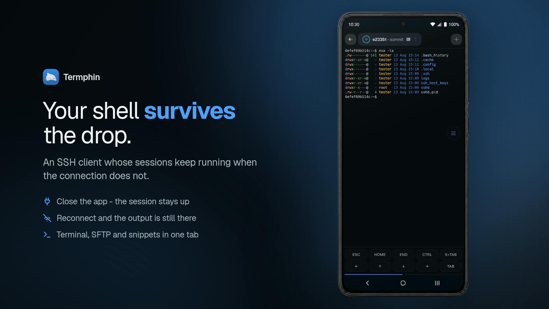 Termphin:断线不丢会话的 SSH 客户端评测