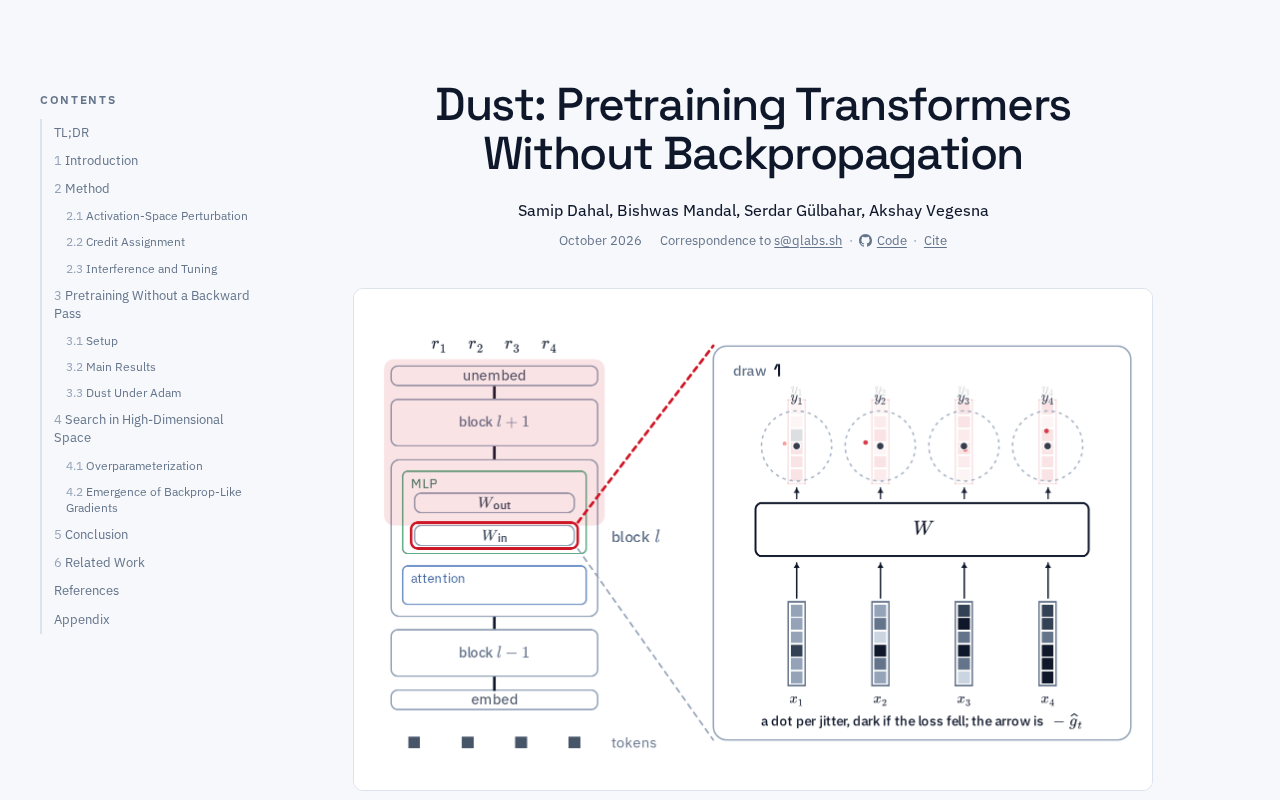 Exploring the Dust Project: Pretraining Transformers Without Backpropagation