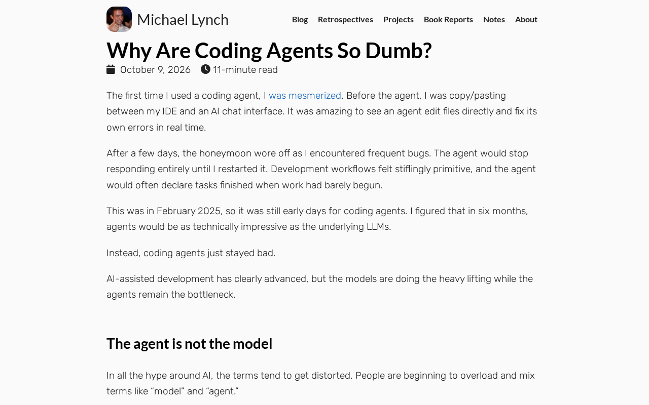 Why Do Coding Agents Seem So "Dumb"? An Analysis of AI Programming Assistant Limitations