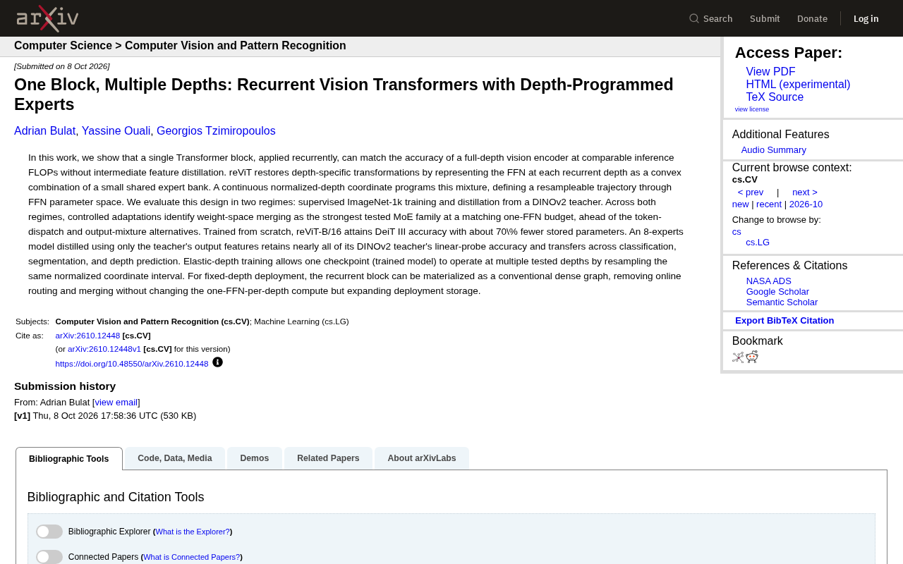 One Block, Multiple Depths: Recurrent Vision Transformers with Depth-Programmed Experts