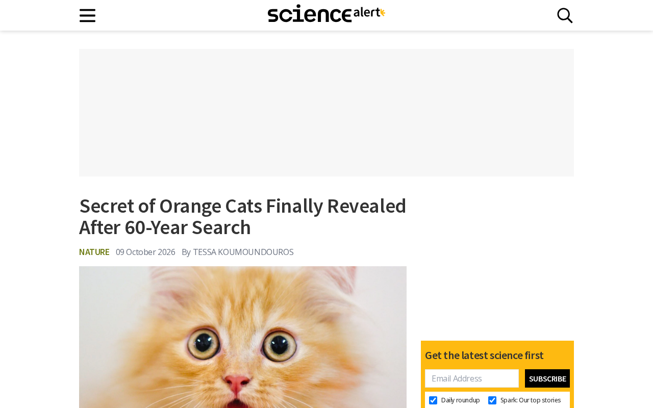 The Mystery of Orange Cats Finally Solved: The End of a 60-Year Scientific Quest