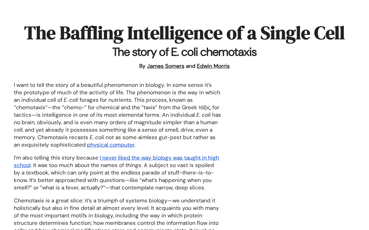 The Mystery of Single-Cell Intelligence: The Astonishing Decision-Making Abilities of Life's Smallest Unit