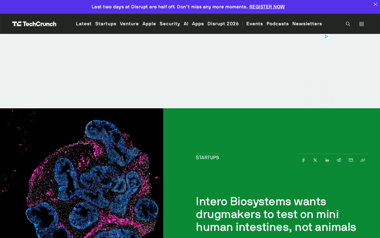 用迷你人类肠道做药物测试:Intero Biosystems的类器官野心