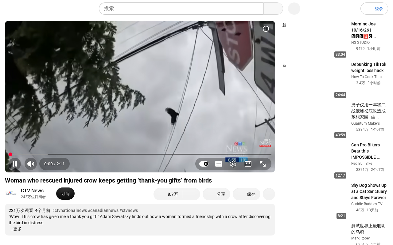 Woman Rescues Injured Crow, Keeps Receiving "Thank-You Gifts" from Birds