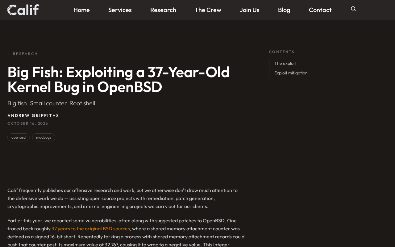 Big Fish: Exploiting a 37-Year-Old Kernel Bug in OpenBSD