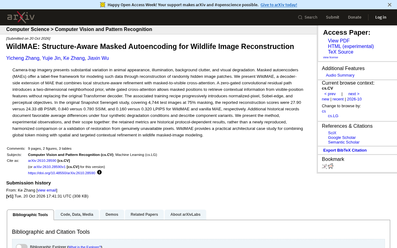 WildMAE paper title screenshot