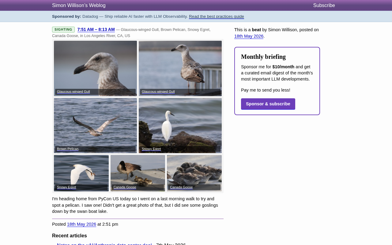 iNaturalist AI物种识别实战:PyCon开发者的洛杉矶河观鸟记录