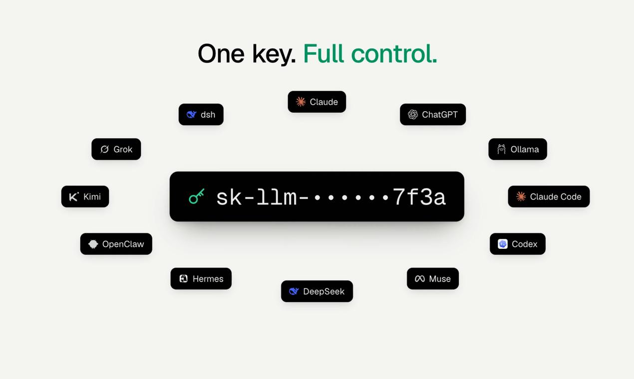 OpenLLM:让AI令牌跨工具自由流动