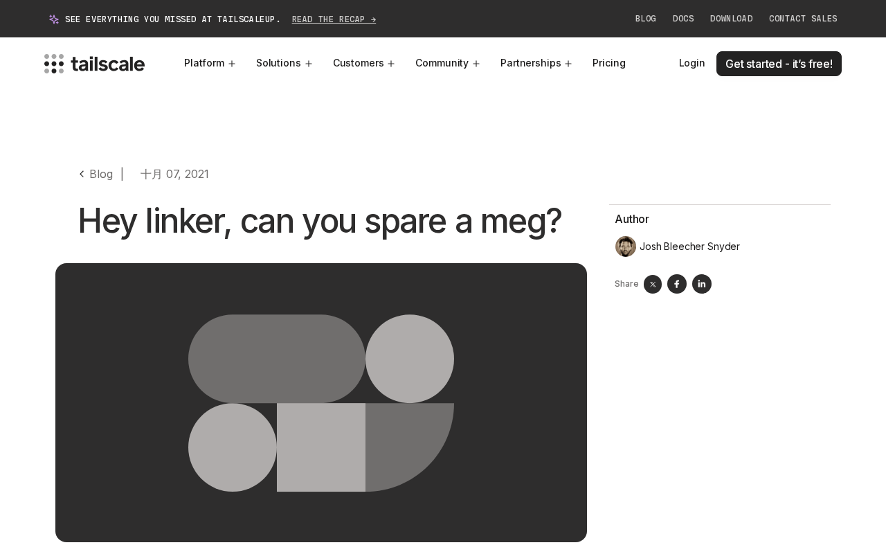 Hey Linker, Can You Spare a Meg? The AI Memory Anxiety Behind a Tech Meme